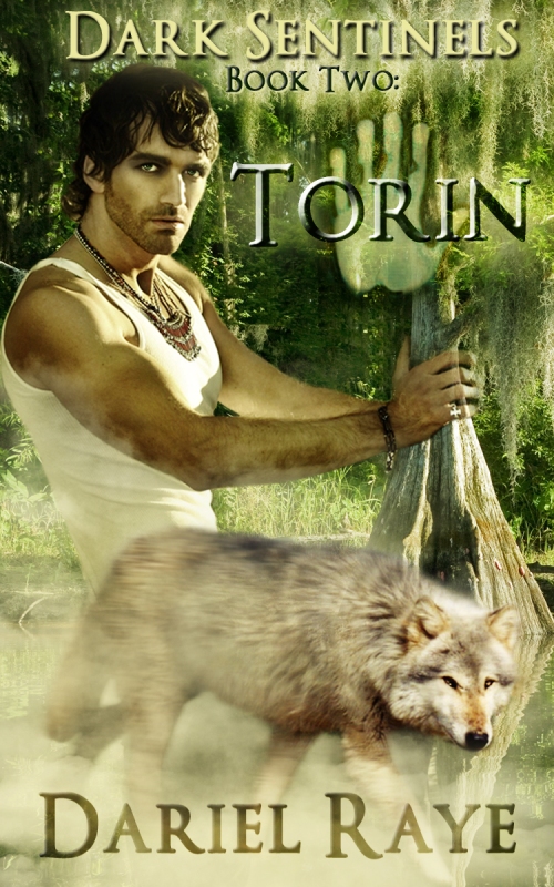 Torin_final cover